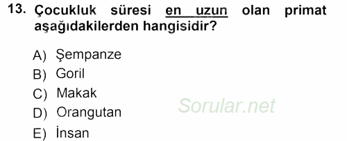 Antropoloji 2014 - 2015 Dönem Sonu Sınavı 13.Soru