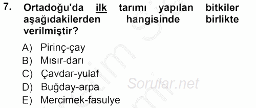 Antropoloji 2014 - 2015 Dönem Sonu Sınavı 7.Soru
