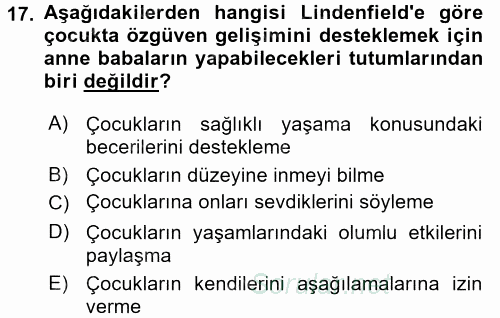 Aile İçi Uyumlu Etkileşim 2017 - 2018 Dönem Sonu Sınavı 17.Soru