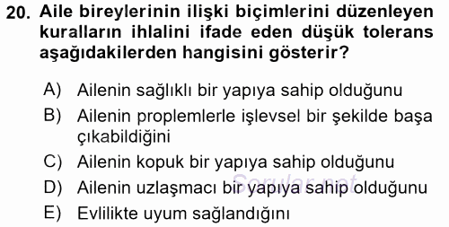 Aile İçi Uyumlu Etkileşim 2017 - 2018 Dönem Sonu Sınavı 20.Soru