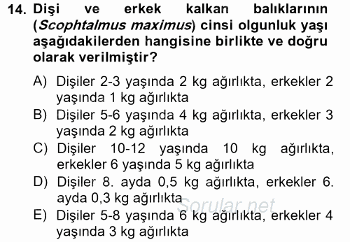 Balık Yetiştiriciliği 2014 - 2015 Tek Ders Sınavı 14.Soru