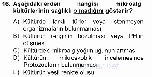 Balık Yetiştiriciliği 2014 - 2015 Tek Ders Sınavı 16.Soru