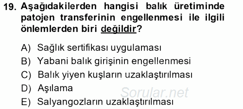 Balık Yetiştiriciliği 2014 - 2015 Tek Ders Sınavı 19.Soru