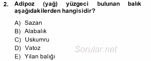 Balık Yetiştiriciliği 2014 - 2015 Tek Ders Sınavı 2.Soru