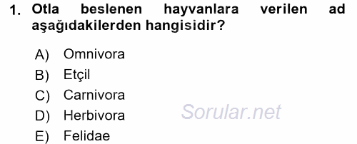 Temel Veteriner Anatomi 2016 - 2017 3 Ders Sınavı 1.Soru