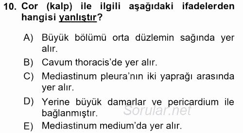 Temel Veteriner Anatomi 2016 - 2017 3 Ders Sınavı 10.Soru