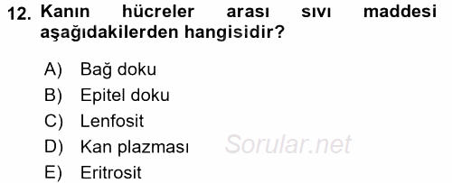 Temel Veteriner Anatomi 2016 - 2017 3 Ders Sınavı 12.Soru