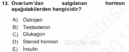 Temel Veteriner Anatomi 2016 - 2017 3 Ders Sınavı 13.Soru