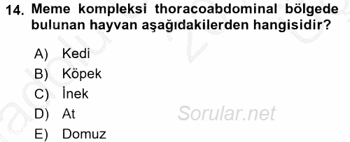 Temel Veteriner Anatomi 2016 - 2017 3 Ders Sınavı 14.Soru