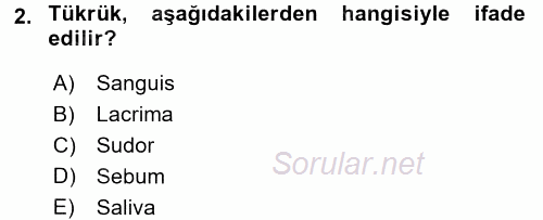 Temel Veteriner Anatomi 2016 - 2017 3 Ders Sınavı 2.Soru