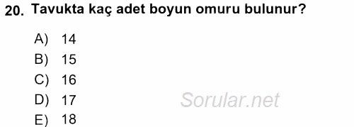 Temel Veteriner Anatomi 2016 - 2017 3 Ders Sınavı 20.Soru