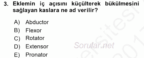 Temel Veteriner Anatomi 2016 - 2017 3 Ders Sınavı 3.Soru