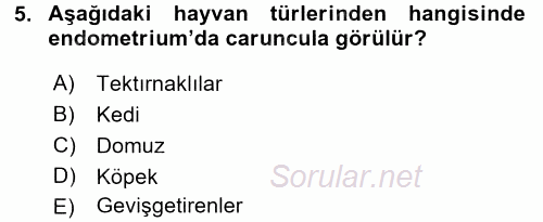 Temel Veteriner Anatomi 2016 - 2017 3 Ders Sınavı 5.Soru