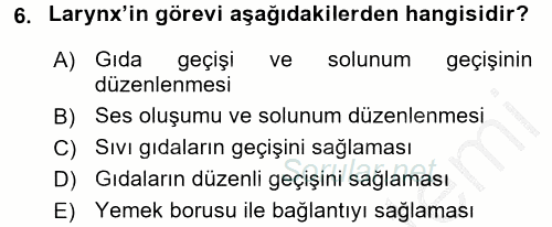 Temel Veteriner Anatomi 2016 - 2017 3 Ders Sınavı 6.Soru