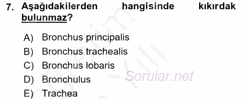 Temel Veteriner Anatomi 2016 - 2017 3 Ders Sınavı 7.Soru