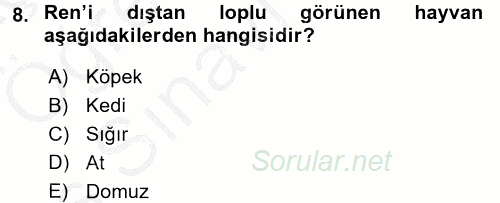 Temel Veteriner Anatomi 2016 - 2017 3 Ders Sınavı 8.Soru