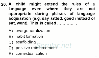 Çocuklara Yabancı Dil Öğretimi 1 2014 - 2015 Ara Sınavı 20.Soru