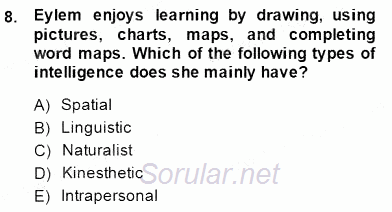 Çocuklara Yabancı Dil Öğretimi 1 2014 - 2015 Ara Sınavı 8.Soru