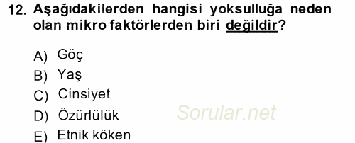 Gelir Dağılımı ve Yoksulluk 2013 - 2014 Dönem Sonu Sınavı 12.Soru