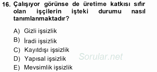 Gelir Dağılımı ve Yoksulluk 2013 - 2014 Dönem Sonu Sınavı 16.Soru