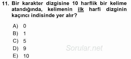 Bilgisayar Ve Programlamaya Giriş 2016 - 2017 Dönem Sonu Sınavı 11.Soru