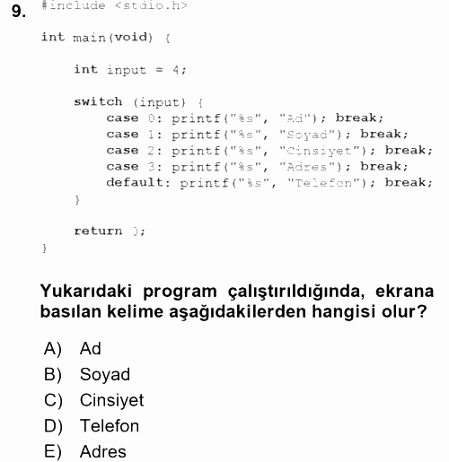 Bilgisayar Ve Programlamaya Giriş 2016 - 2017 Dönem Sonu Sınavı 9.Soru