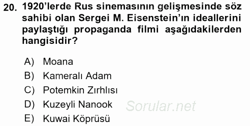 Hareketli Görüntünün Tarihi 2016 - 2017 Ara Sınavı 20.Soru