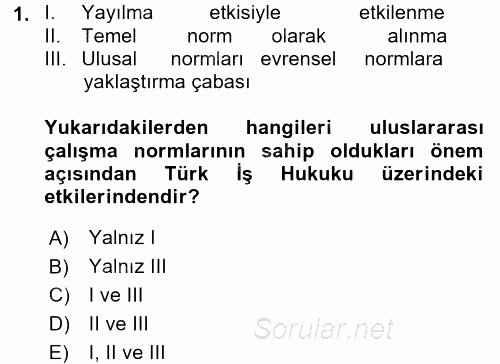 Uluslararası Sosyal Politika 2017 - 2018 Ara Sınavı 1.Soru