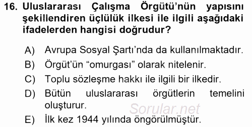 Uluslararası Sosyal Politika 2017 - 2018 Ara Sınavı 16.Soru