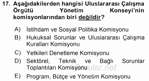 Uluslararası Sosyal Politika 2017 - 2018 Ara Sınavı 17.Soru