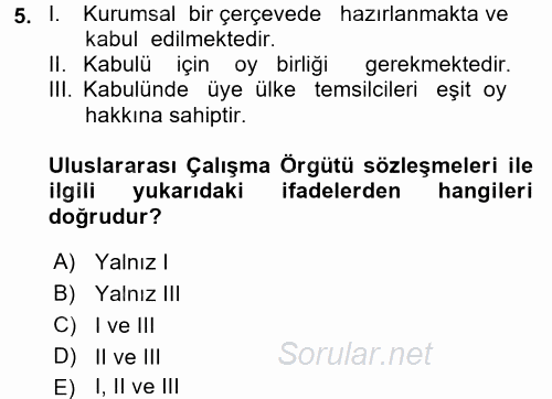 Uluslararası Sosyal Politika 2017 - 2018 Ara Sınavı 5.Soru