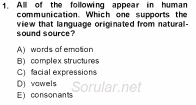 Dilbilim 1 2013 - 2014 Tek Ders Sınavı 1.Soru
