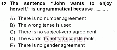Dilbilim 1 2013 - 2014 Tek Ders Sınavı 11.Soru