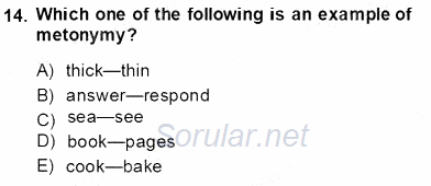Dilbilim 1 2013 - 2014 Tek Ders Sınavı 13.Soru