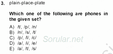 Dilbilim 1 2013 - 2014 Tek Ders Sınavı 3.Soru