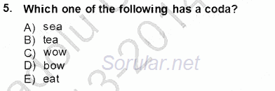 Dilbilim 1 2013 - 2014 Tek Ders Sınavı 5.Soru