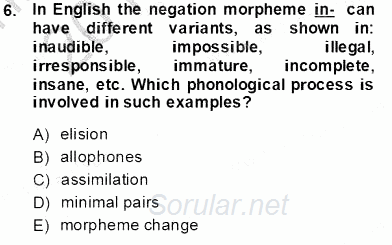 Dilbilim 1 2013 - 2014 Tek Ders Sınavı 6.Soru