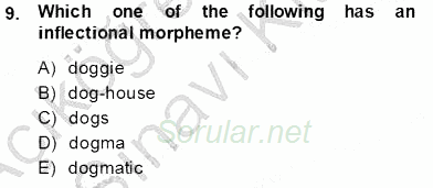 Dilbilim 1 2013 - 2014 Tek Ders Sınavı 8.Soru