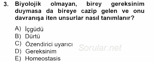 Birey ve Davranış 2013 - 2014 Tek Ders Sınavı 3.Soru