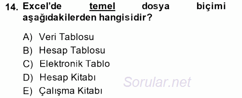 Temel Bilgi Teknolojileri 1 2013 - 2014 Ara Sınavı 14.Soru