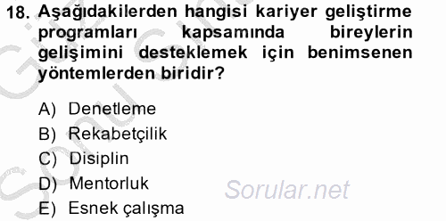 Performans ve Kariyer Yönetimi 2014 - 2015 Dönem Sonu Sınavı 18.Soru