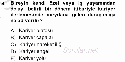 Performans ve Kariyer Yönetimi 2014 - 2015 Dönem Sonu Sınavı 9.Soru