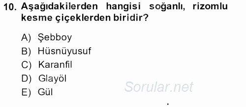 Peyzaj Çevre ve Tarım 2013 - 2014 Dönem Sonu Sınavı 10.Soru