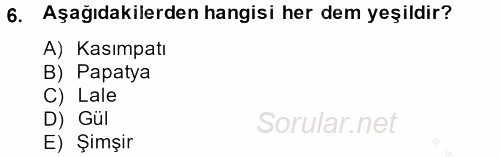 Peyzaj Çevre ve Tarım 2013 - 2014 Dönem Sonu Sınavı 6.Soru