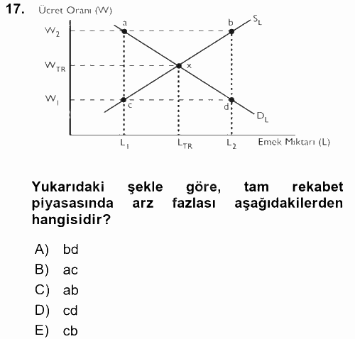 Çalışma Ekonomisi 2017 - 2018 Ara Sınavı 17.Soru