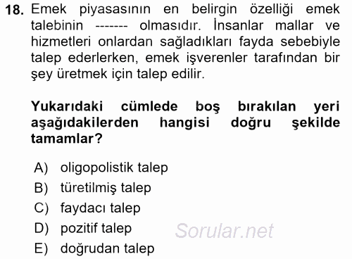 Çalışma Ekonomisi 2017 - 2018 Ara Sınavı 18.Soru