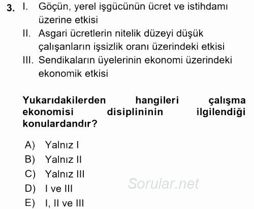 Çalışma Ekonomisi 2017 - 2018 Ara Sınavı 3.Soru