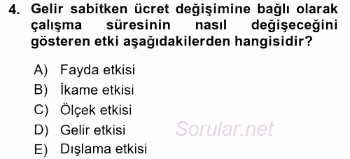 Çalışma Ekonomisi 2017 - 2018 Ara Sınavı 4.Soru