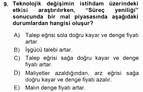 Ekonominin Güncel Sorunları 2016 - 2017 Dönem Sonu Sınavı 9.Soru