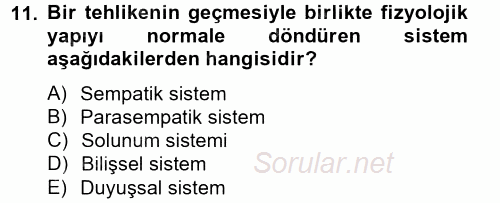 İş ve Yaşamda Motivasyon 2013 - 2014 Ara Sınavı 11.Soru